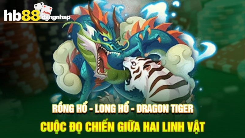 Rồng Hổ - Long Hổ - Dragon Tiger - Cuộc đọ chiến giữa hai linh vật