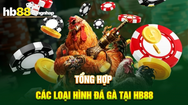 Tổng hợp các loại hình đá gà tại HB88